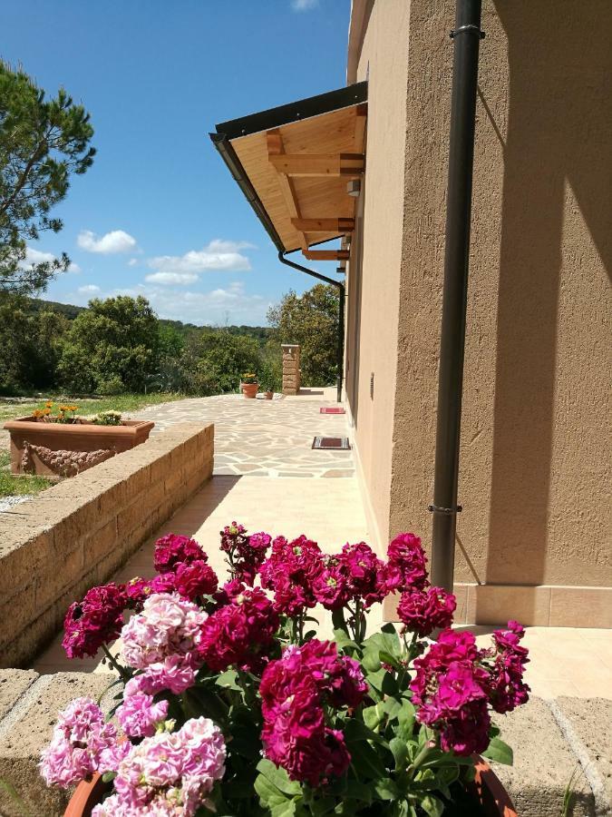 Sonnellino In Maremma Villa Massa Marittima Ngoại thất bức ảnh