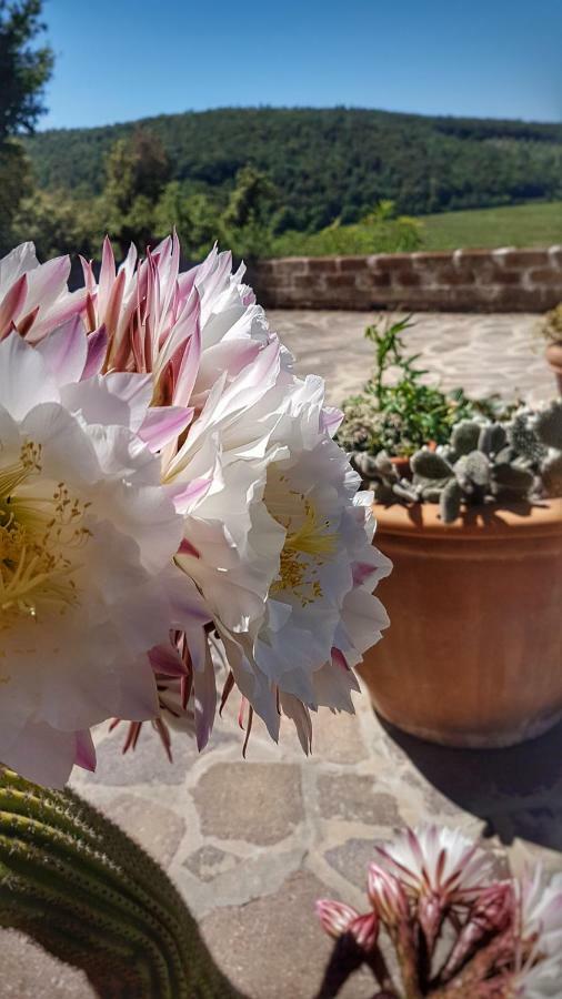 Sonnellino In Maremma Villa Massa Marittima Ngoại thất bức ảnh
