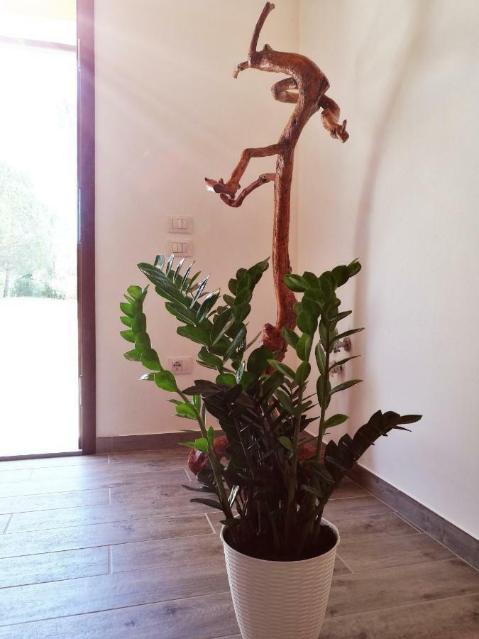 Sonnellino In Maremma Villa Massa Marittima Ngoại thất bức ảnh
